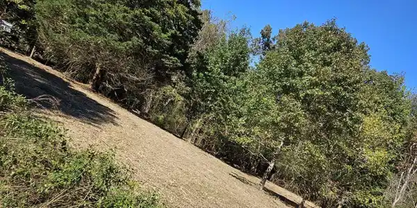 0 Sugar Tree Trail