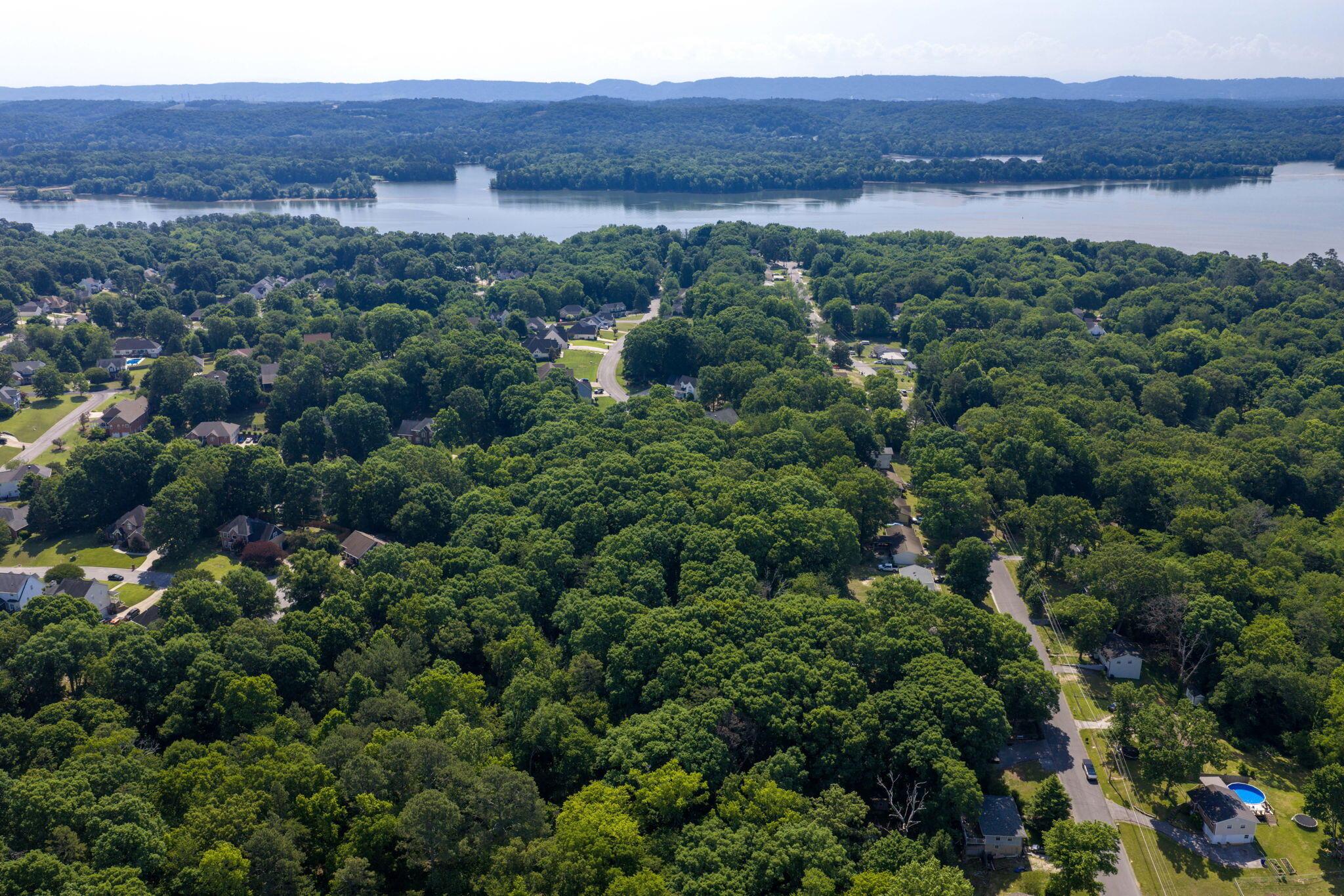 Image 4: 9-web-or-mls-DJI_20260520110346_0763_D-1