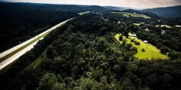 Image 4: 11111 Hixson Pike Trees in the middle