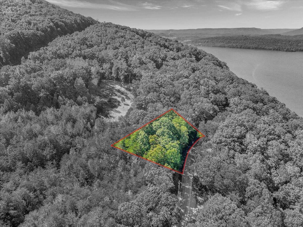 Image 2: Browbend Highlighted View