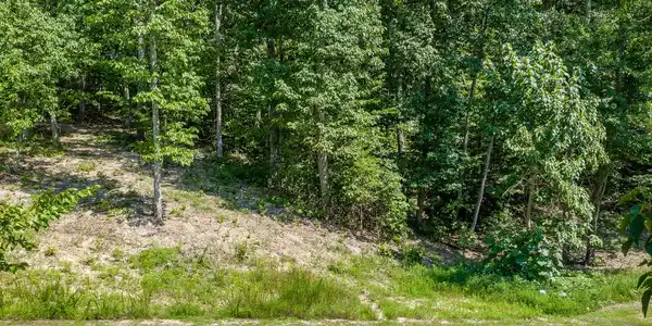 10077 Caseview Dr Lot 15