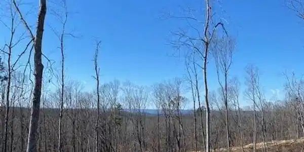 Lot 13 River Road  Lot 13