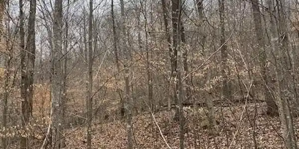 Lot 15 River Road  15