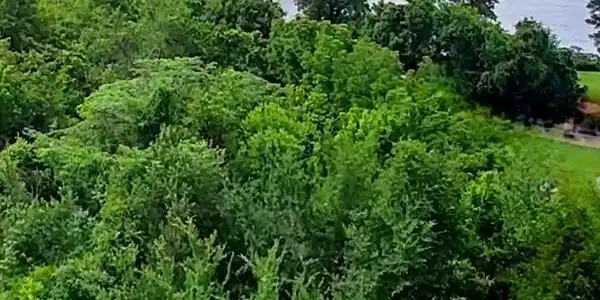 0 River Road