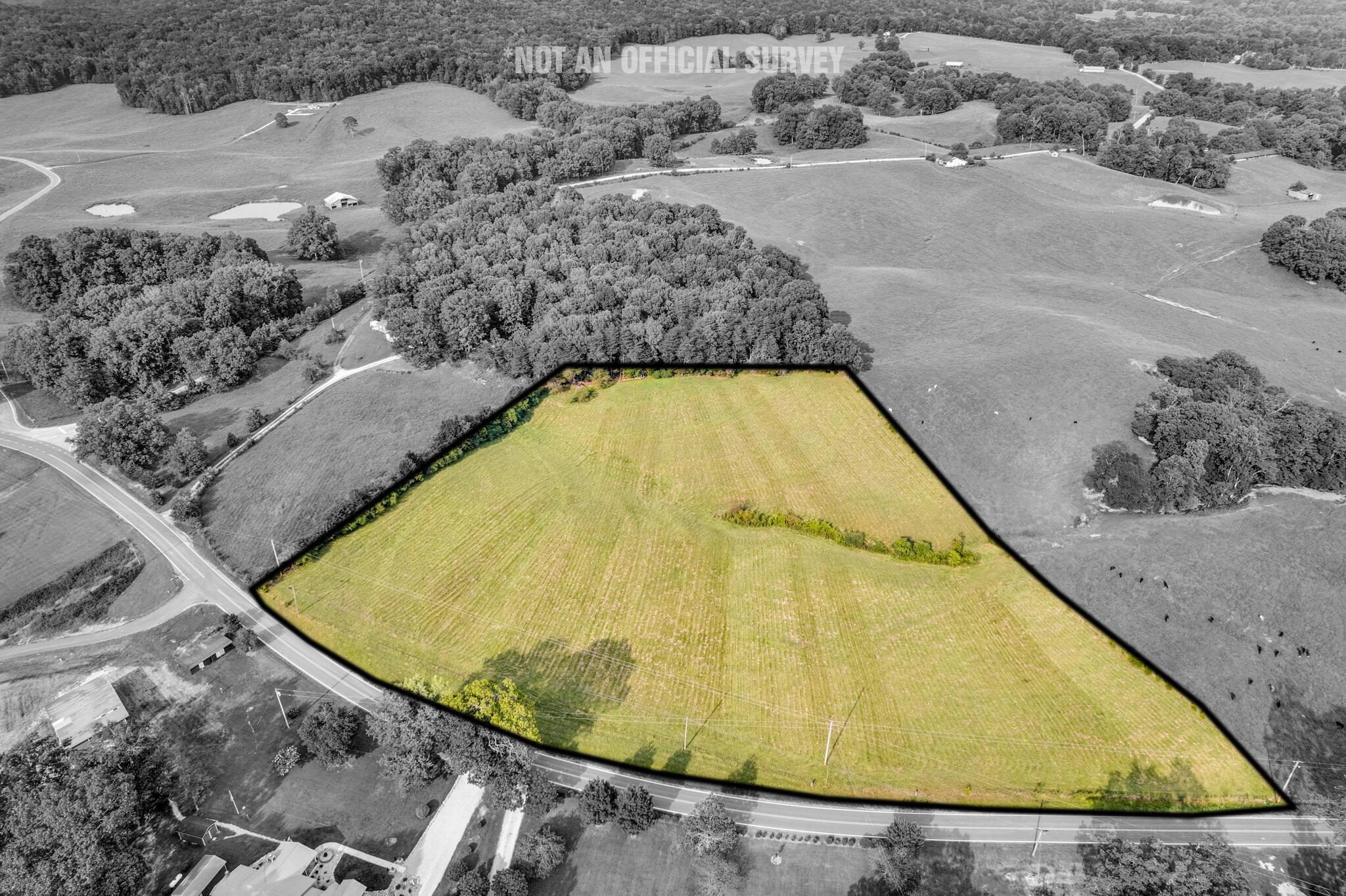 Image 2: 00 Bone Cave Rd-1LINES