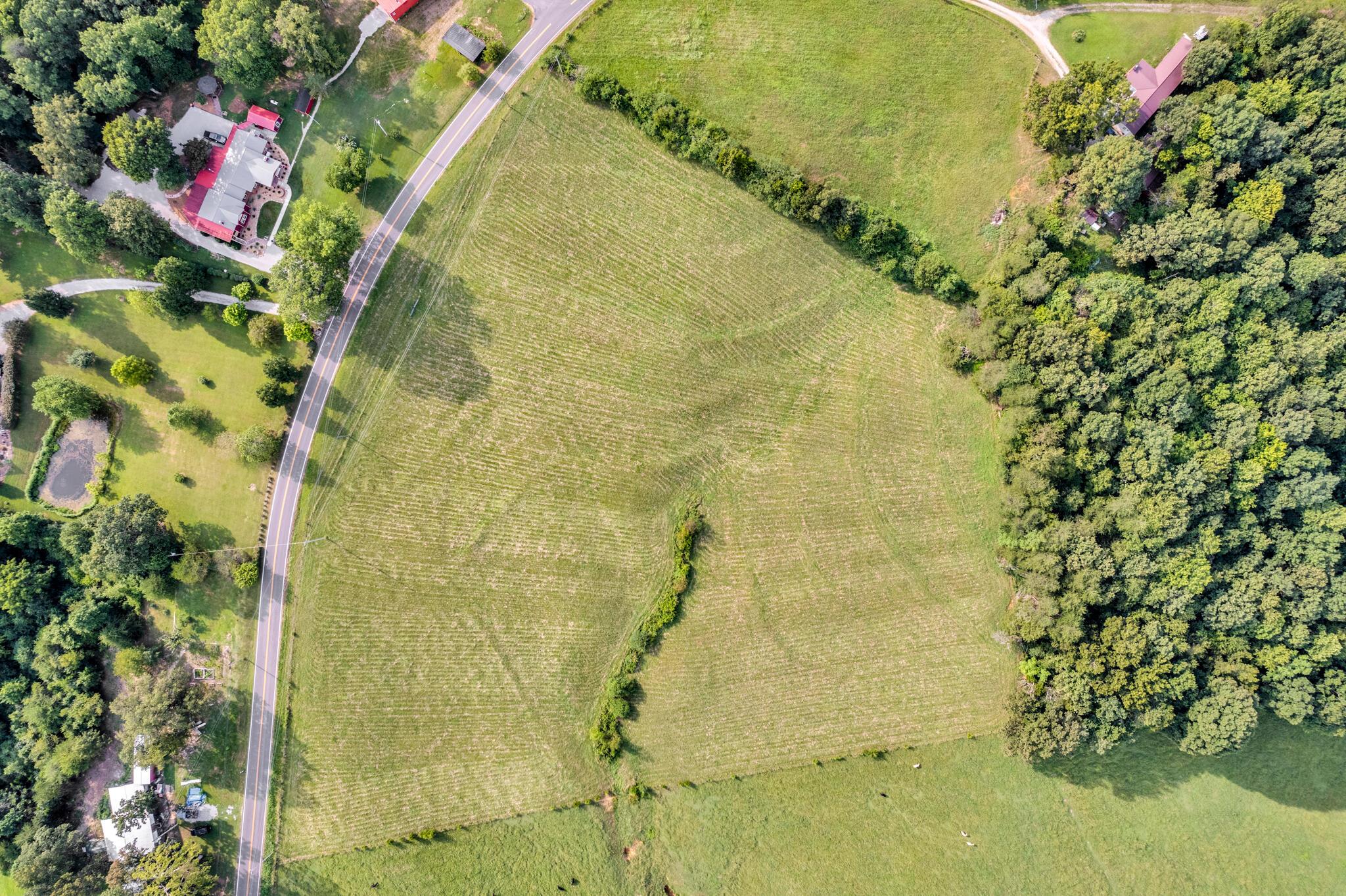 Image 3: 00 Bone Cave Rd-2