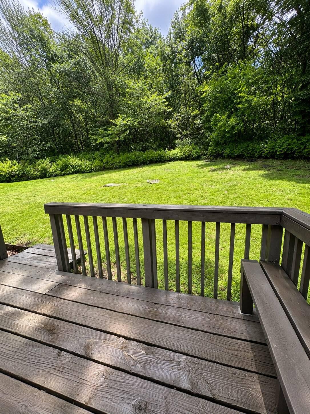 Image 4: Back Yard