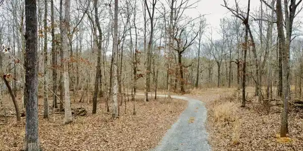 9.07 Acres Shahan Lane