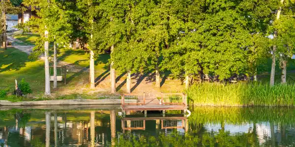 Image 3: DJI_20250912070504_0177_D