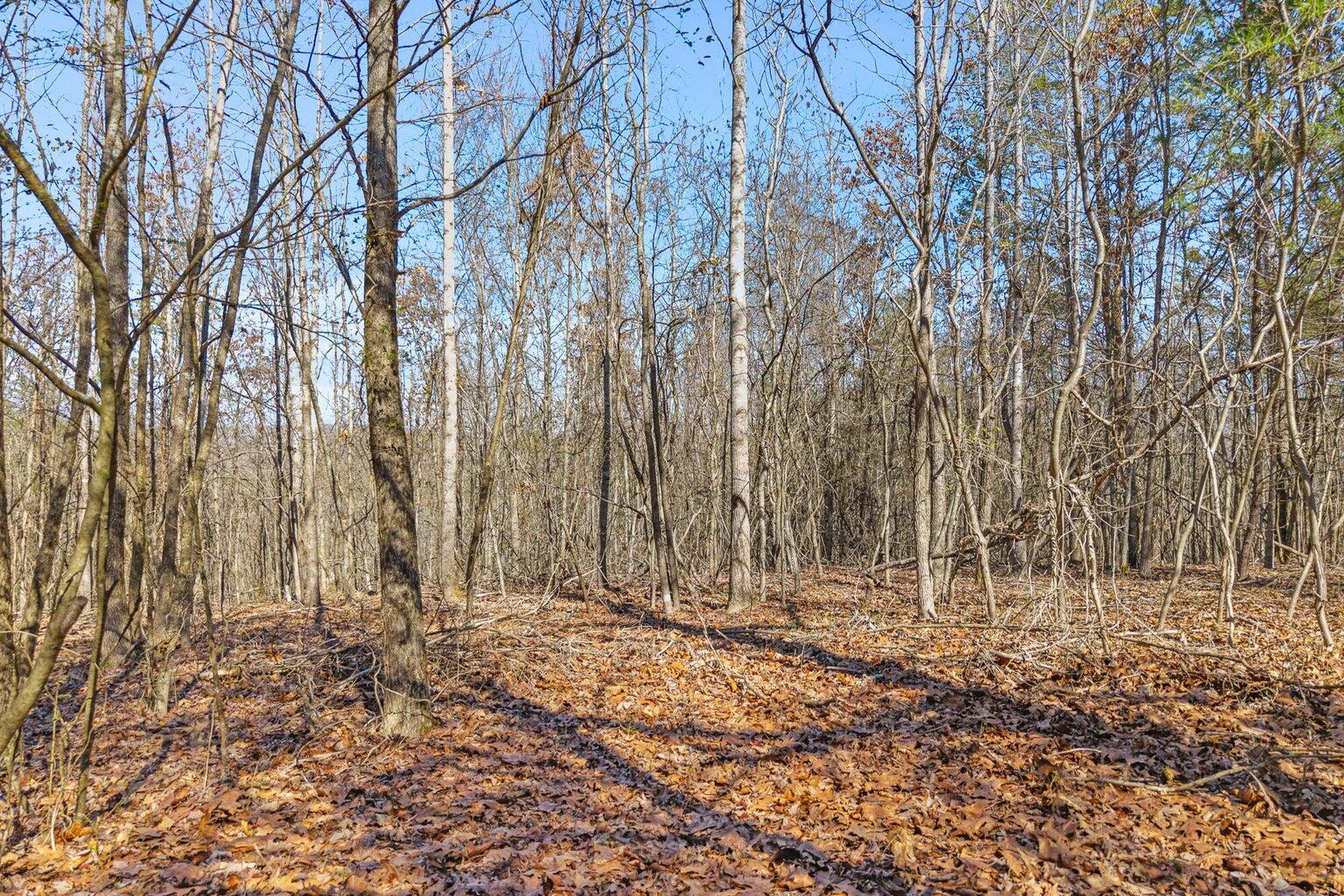 Image 2: 2