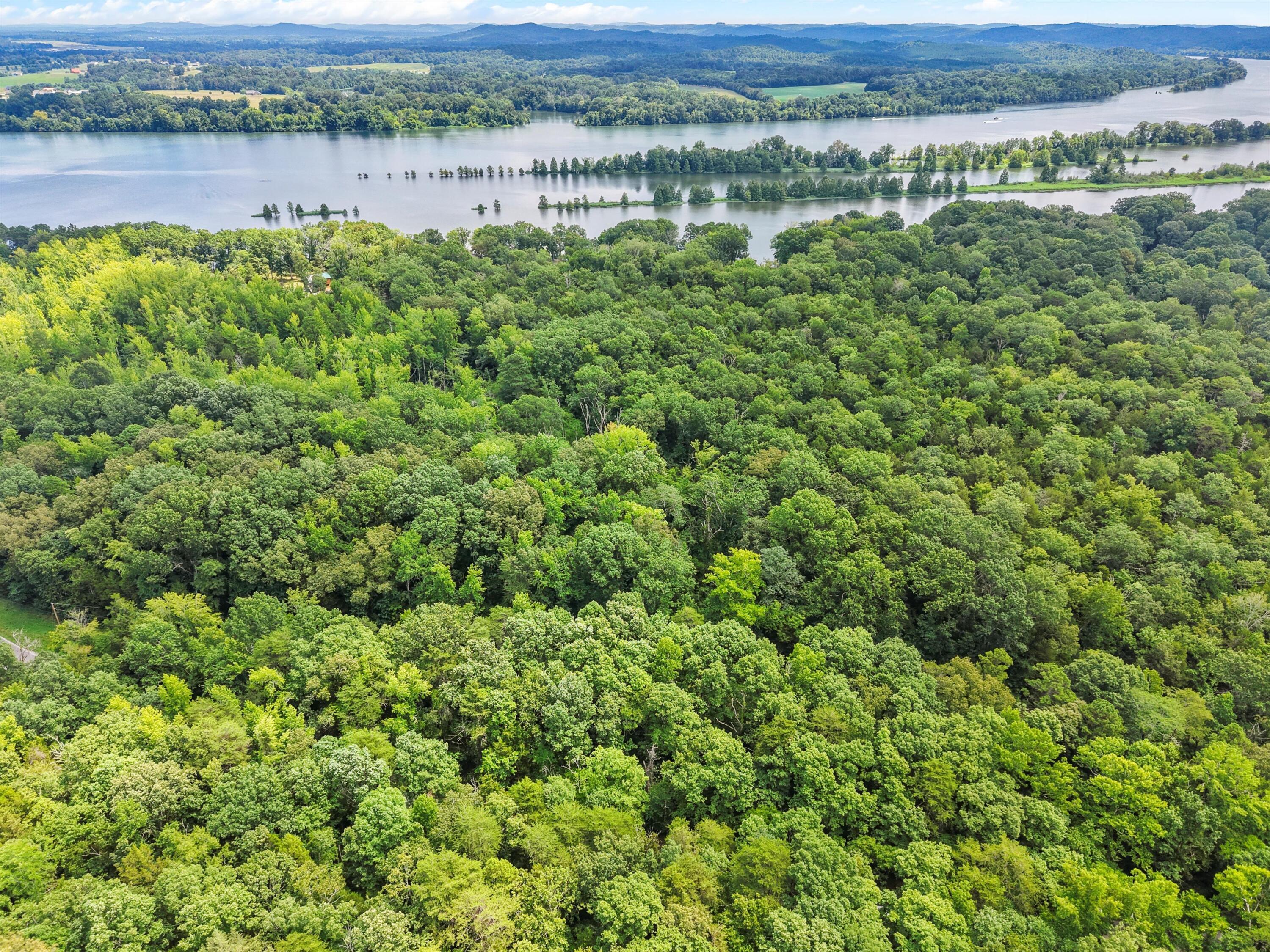 Image 3: 03-DJI_20250723125416_0256_D