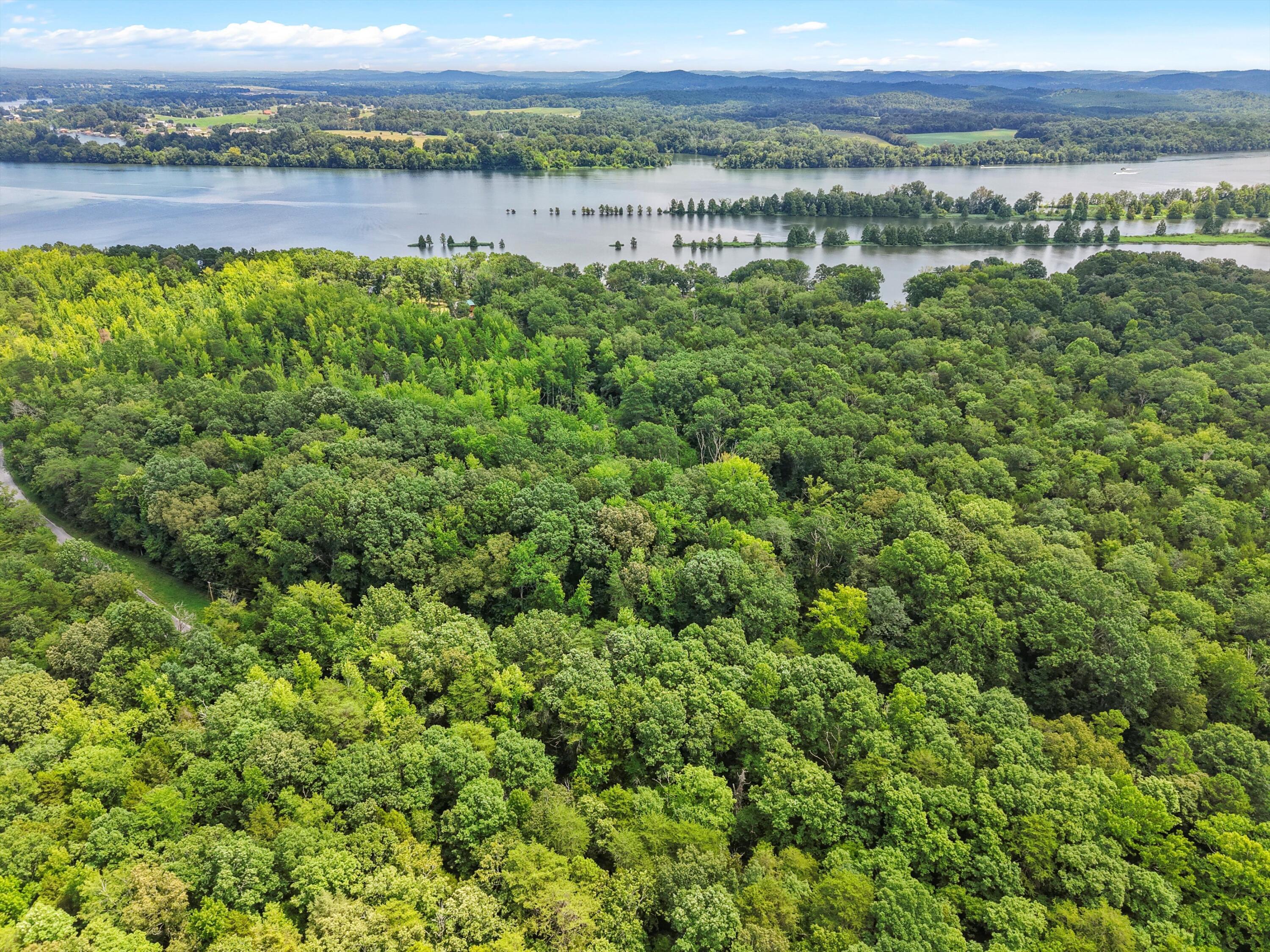 Image 4: 04-DJI_20250723125426_0261_D