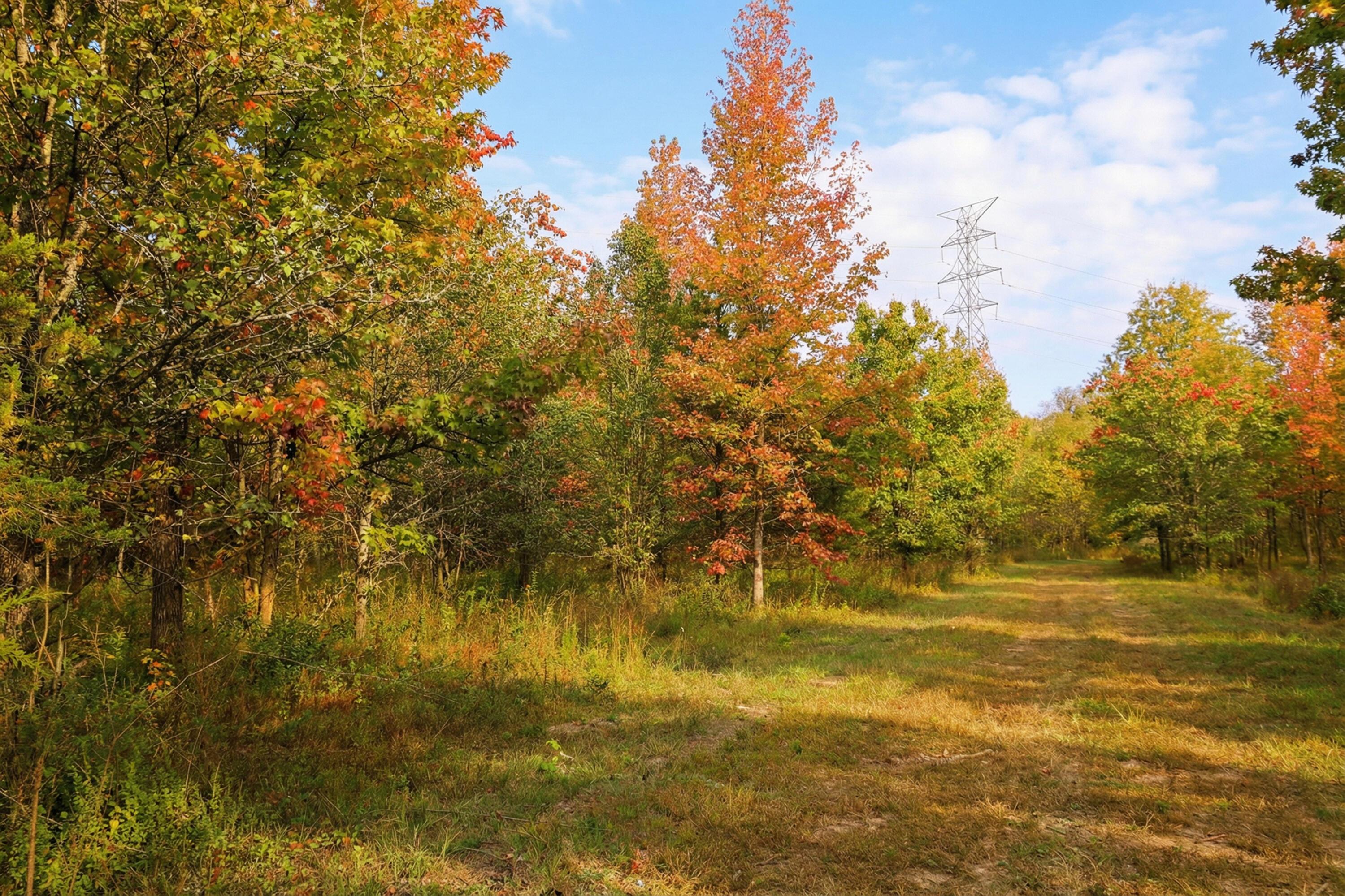 Image 3: rf-26_197A2156