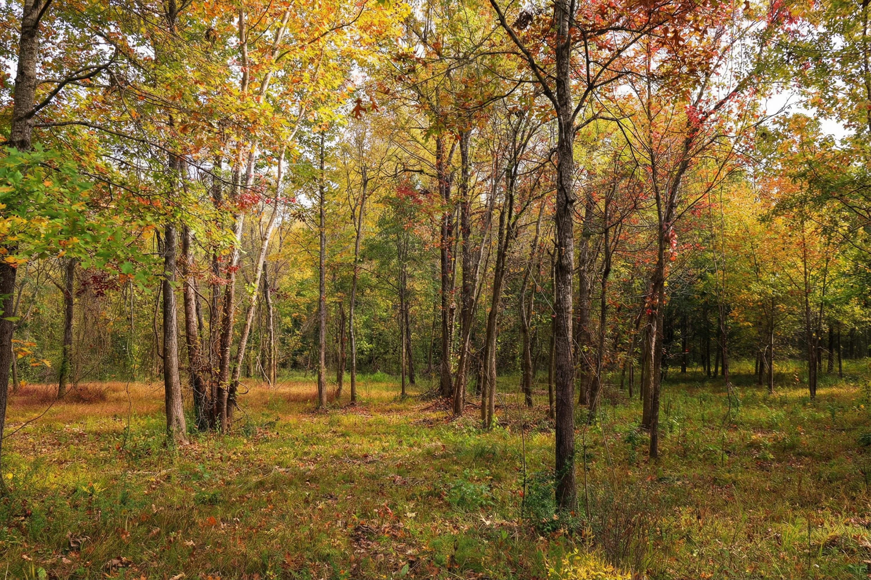 Image 4: rf-26_197A2158