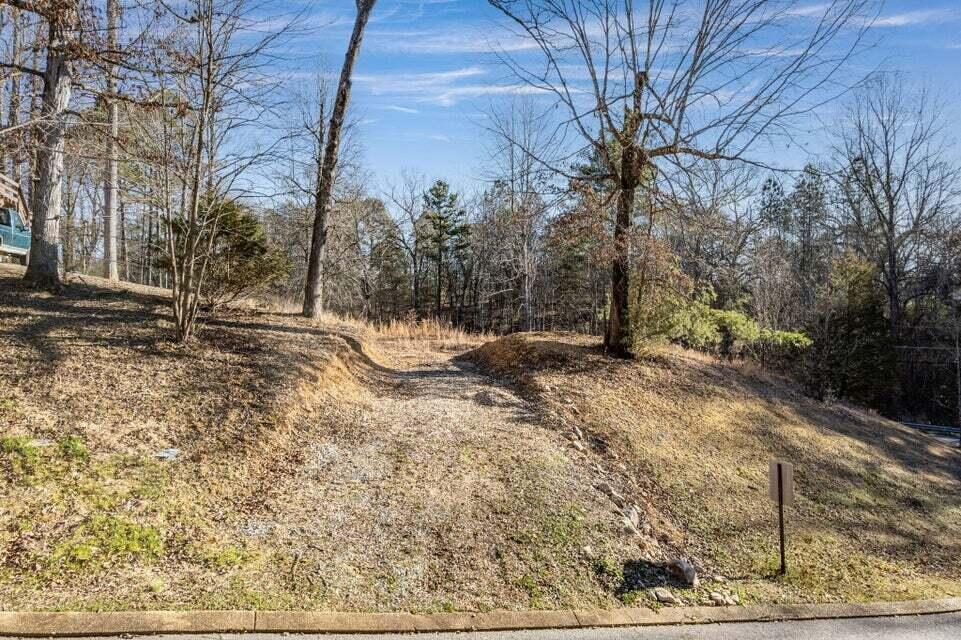 Image 4: Driveway