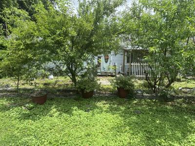 528 Browns Ferry Road