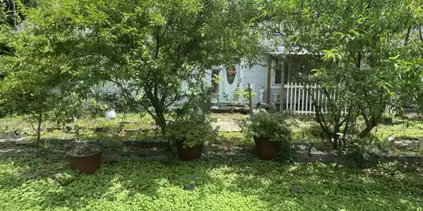 528 Browns Ferry Road
