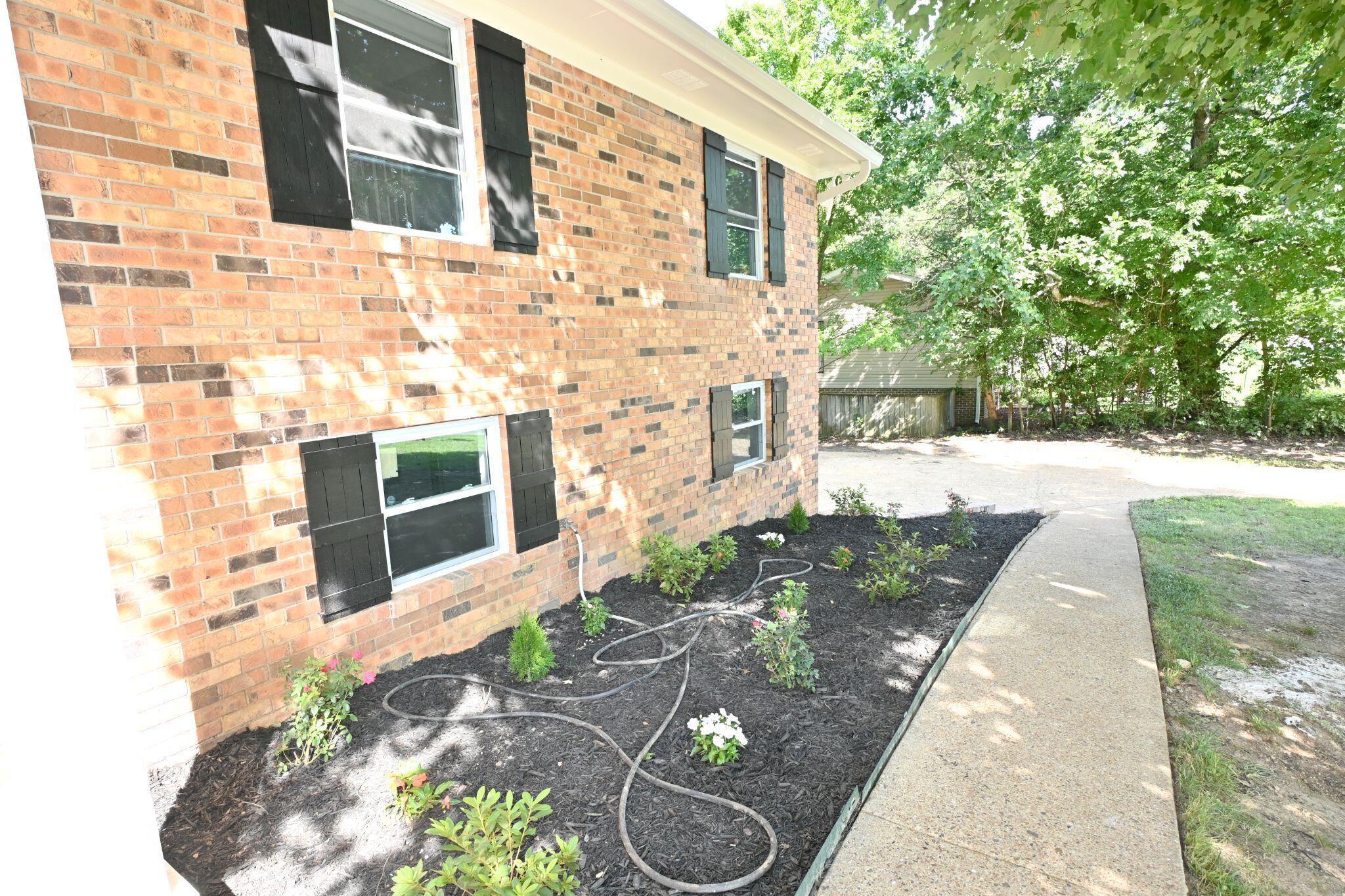 Image 4: Beautiful real brick.