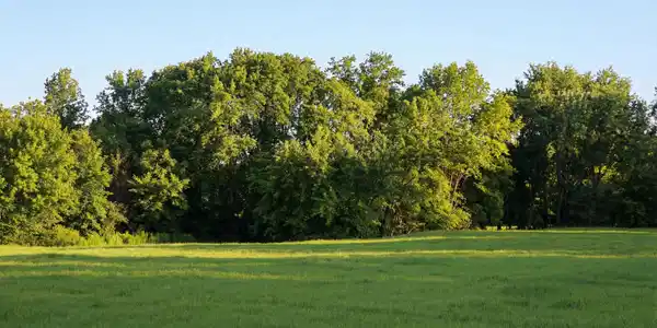Image 2: Lot 35