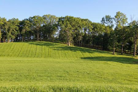 1138 Luptonville Crossing