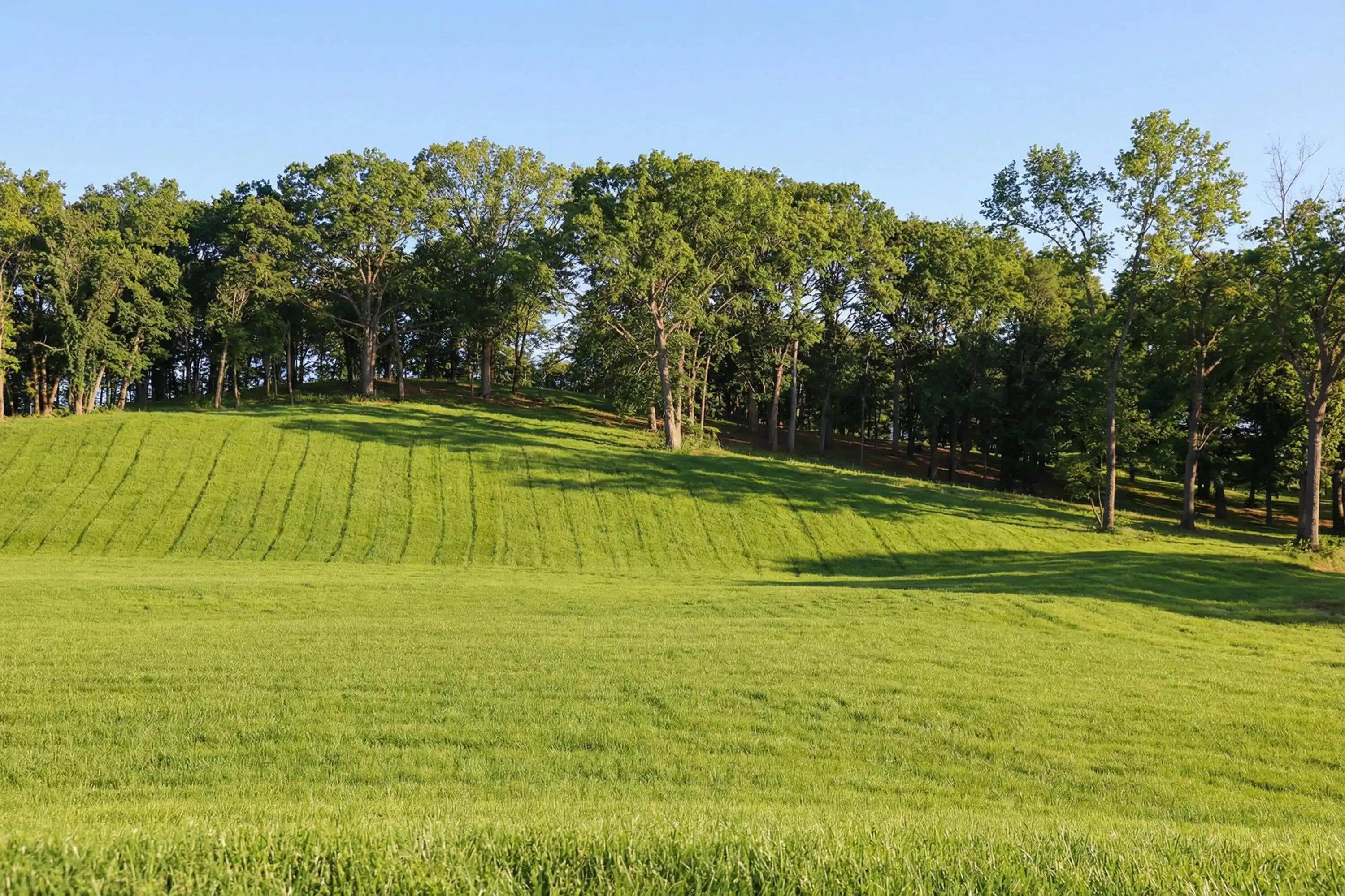 Image 1: Lot 33, Facing Hillside