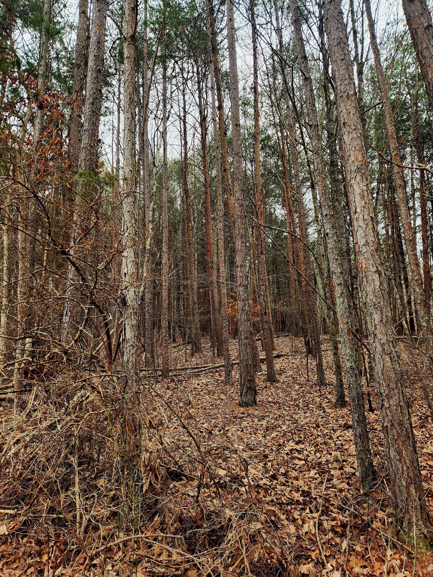 Image 3: 20260307_101655
