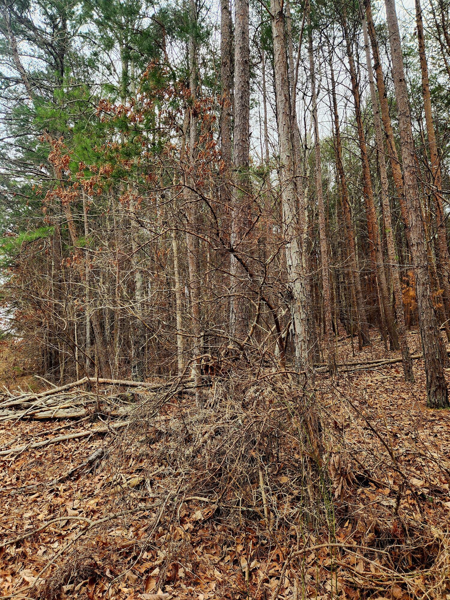Image 4: 20260307_101658