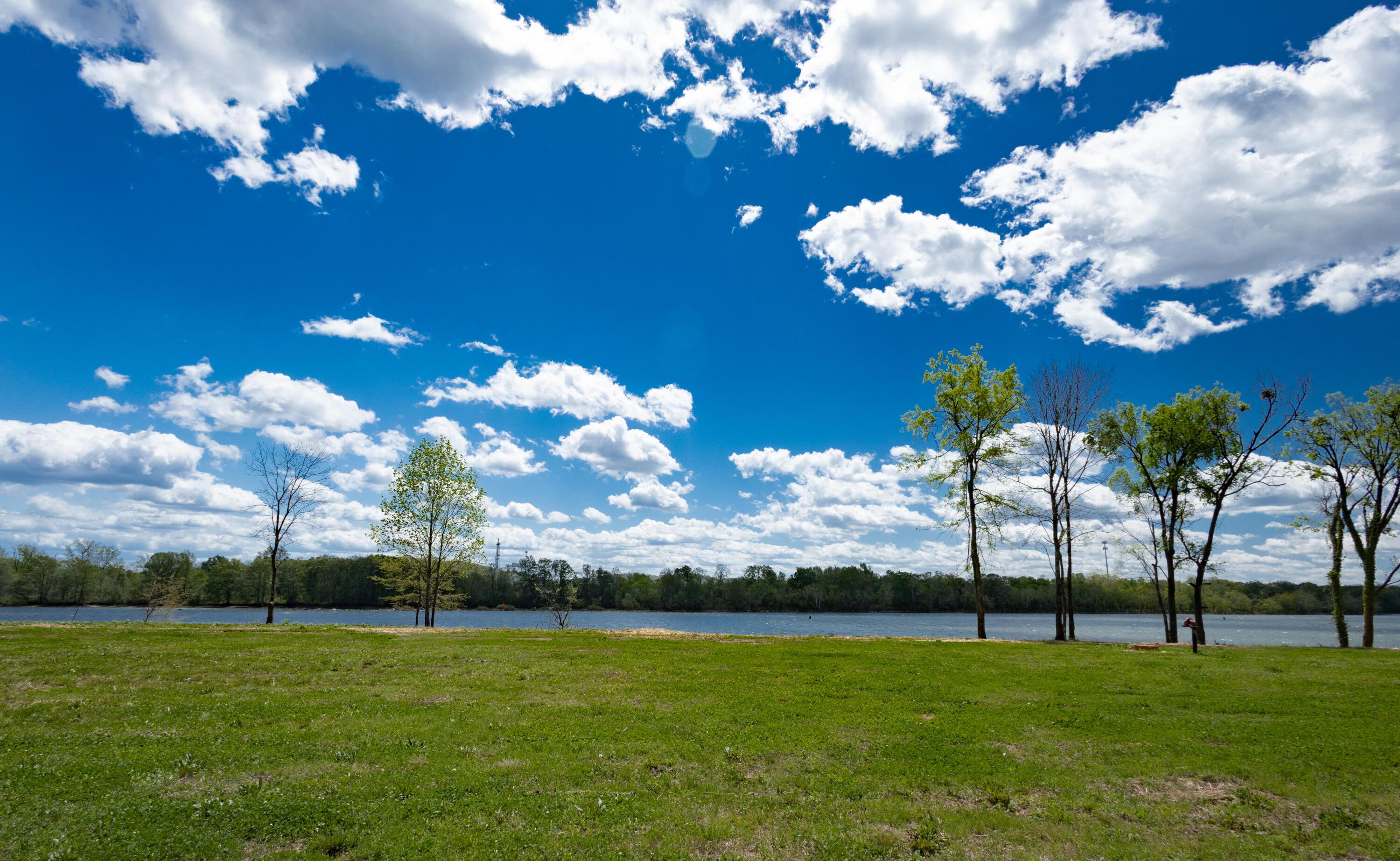 Image 2: River Views