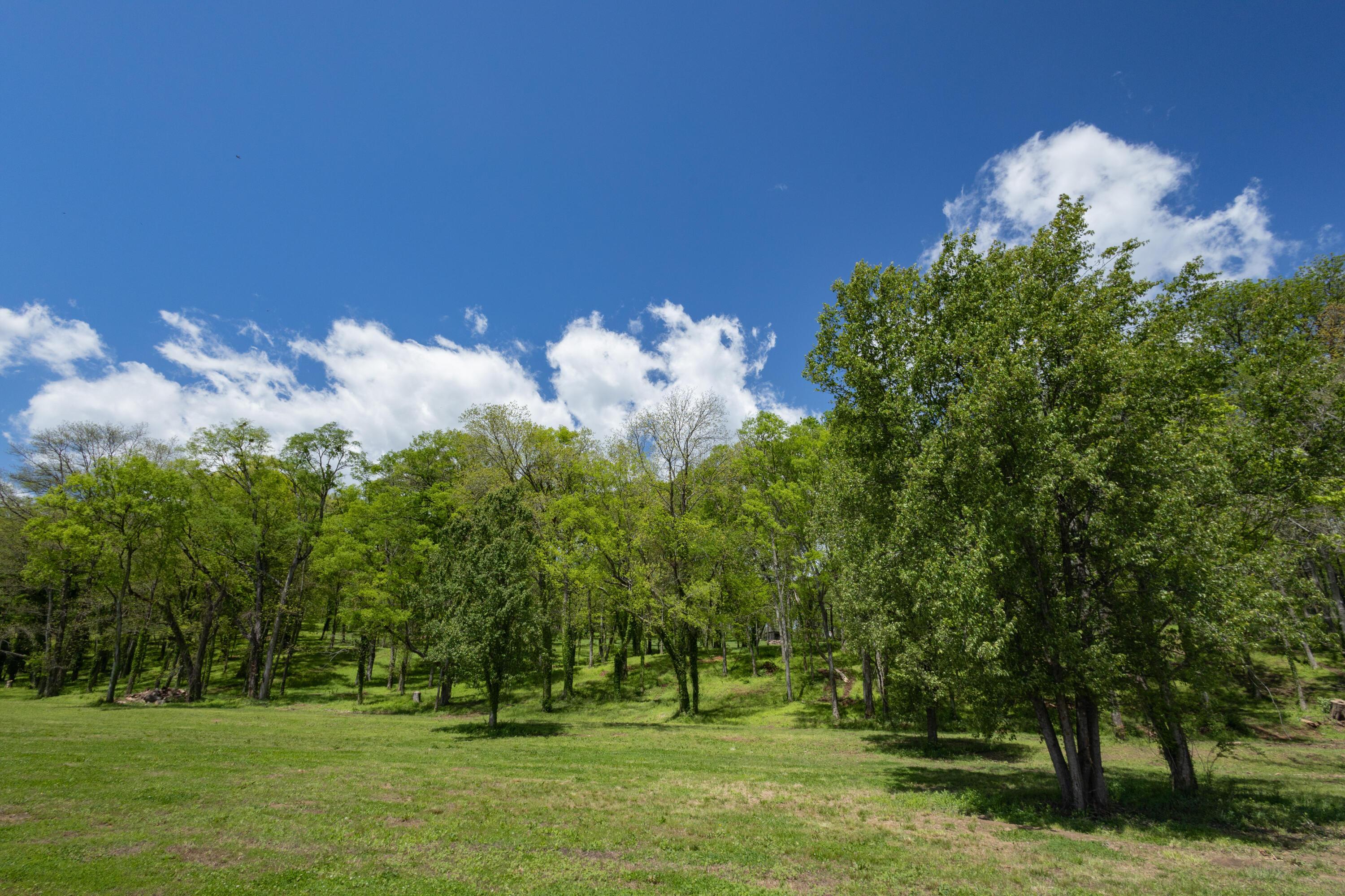 Image 4: Facing Homesite