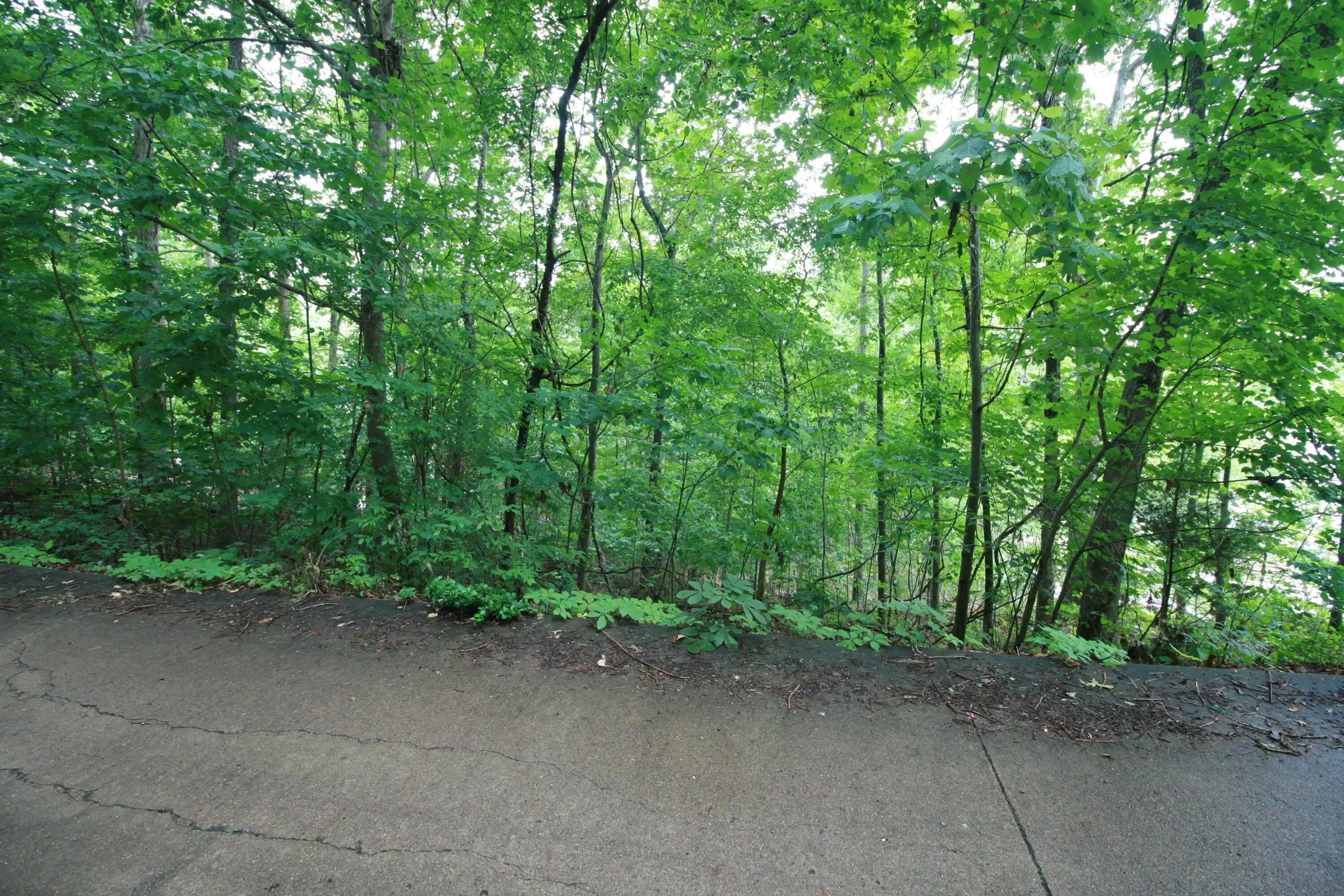 Image 1: Street view