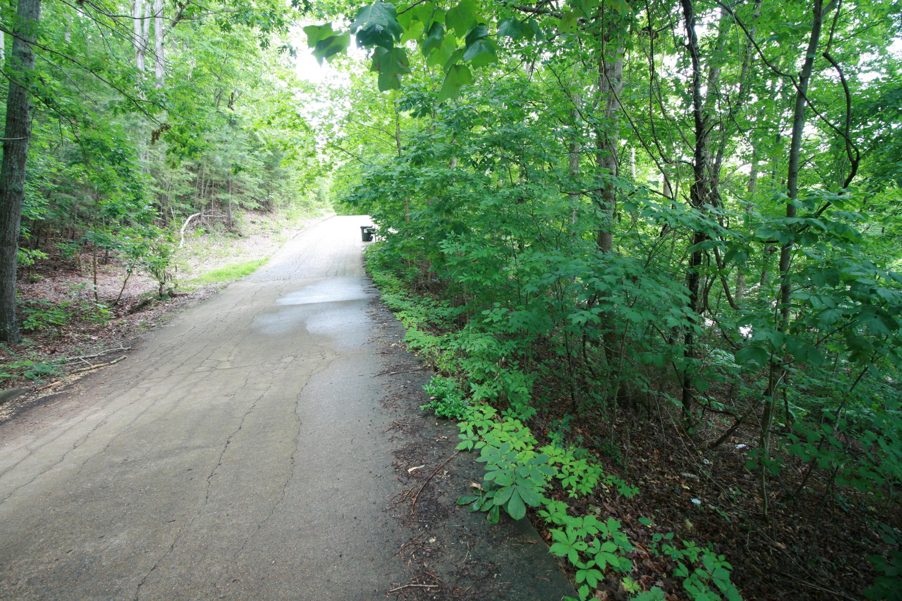 Image 2: Street