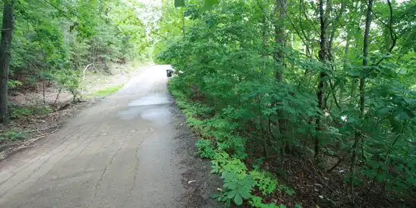 Image 2: Street