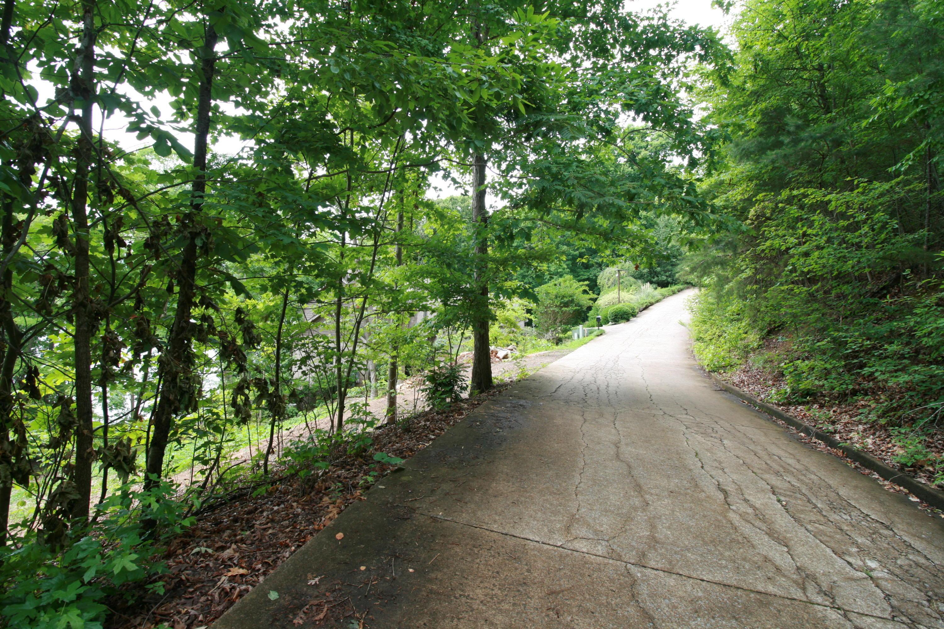Image 3: Street