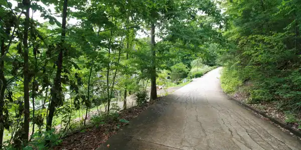 Image 3: Street