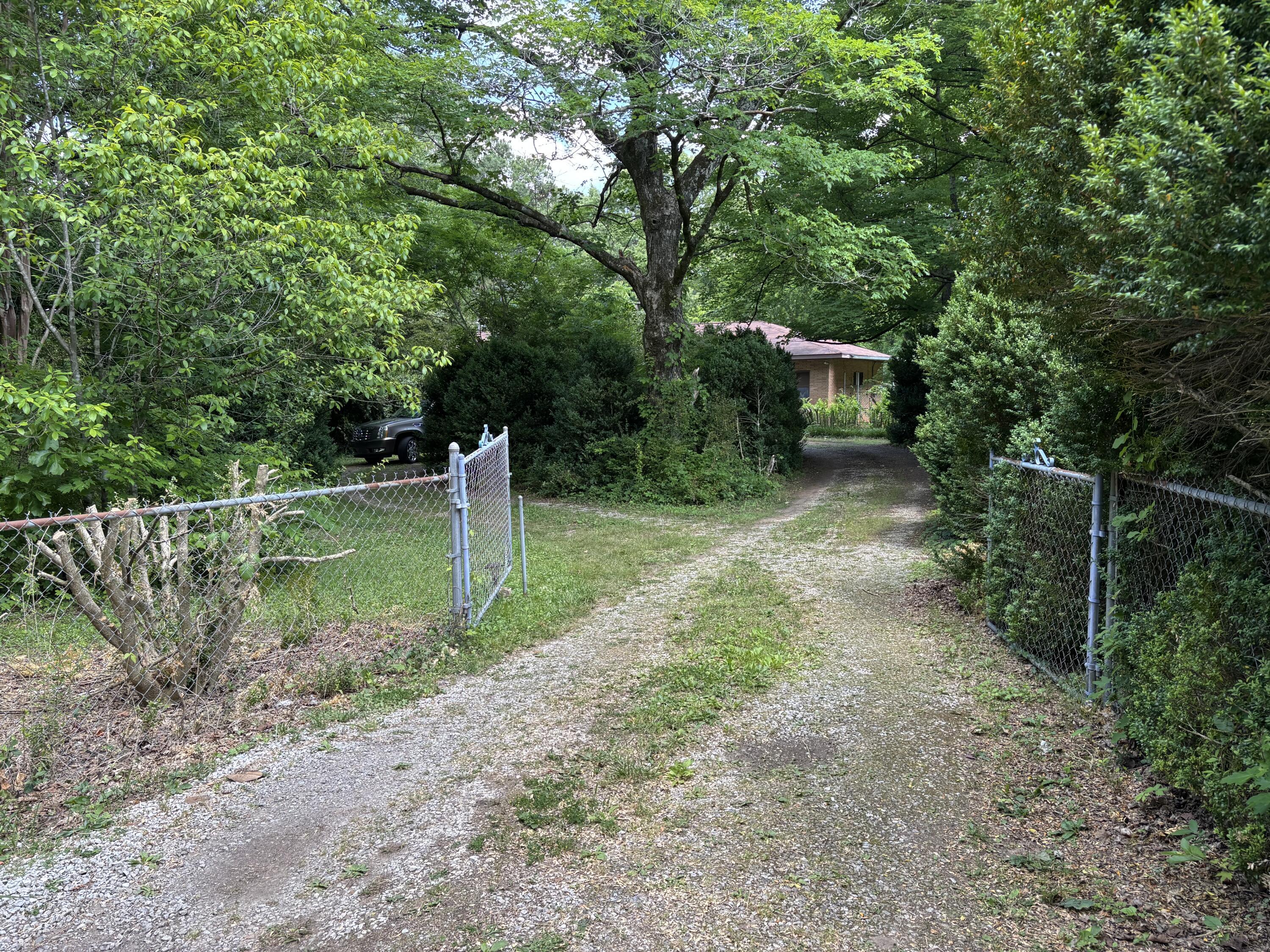 Image 2: IMG_4734