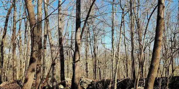 0 Scenic Drive