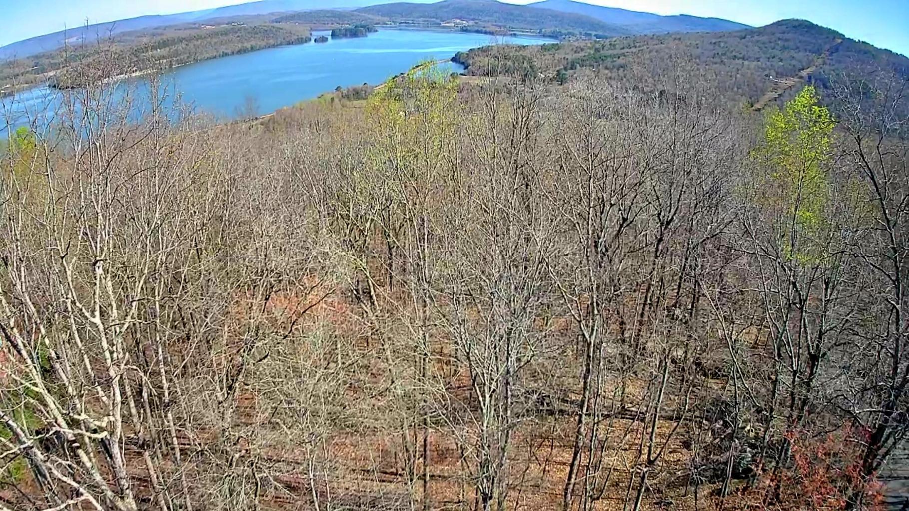 Image 3: 4