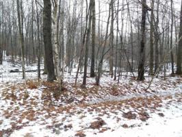 Lot 750 LAKE ROAD