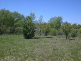 Lot 160 AVEBURY WAY