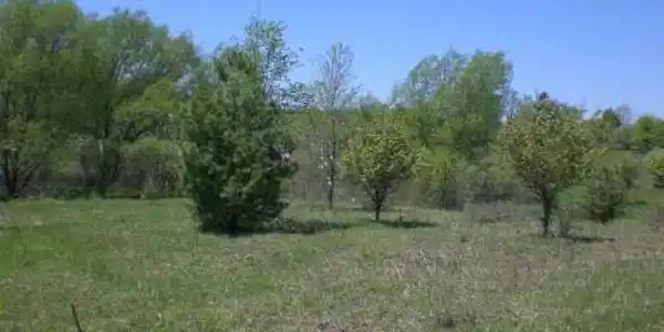 Lot 160 AVEBURY WAY
