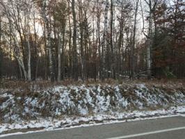 Lot 1 WOODLAND