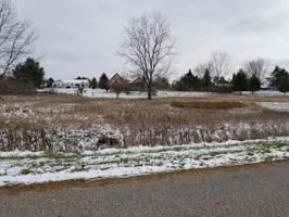 Lot 31 MANCHESTER WAY