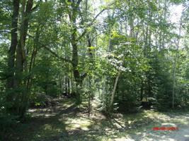 Lot # 47 PRINCESS WAY