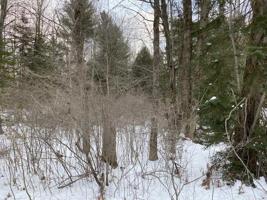 Lot 107 Lake of the Pines Dr