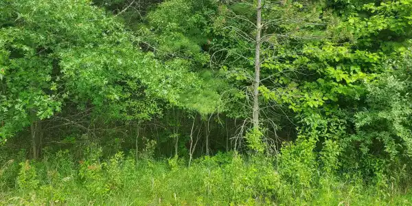 Lot 140 Robinhood Way