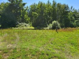 498 Ridge
