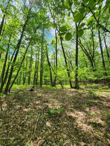 Lot 827 Hemlock Lane