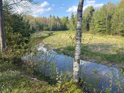 2706 Birchview