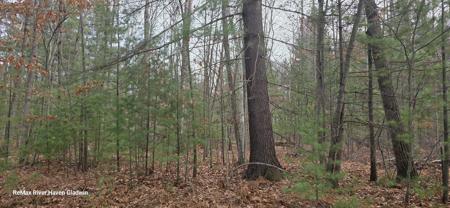 2.17 Acres N Branch Drive