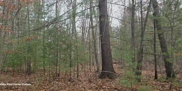 2.17 Acres N Branch Drive